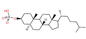 5a-Cholestane-3b-ol sulfate